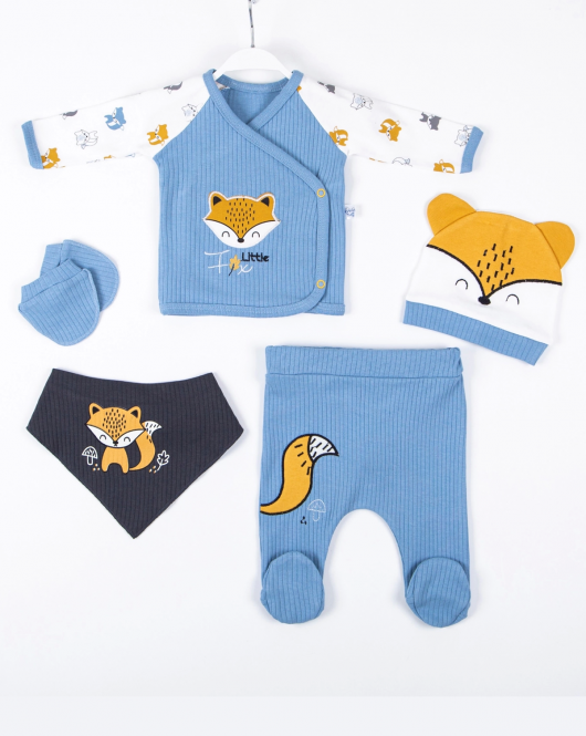 3 Ay Bebek Hastane Çıkışı Little Fox Nakışlı 5'li Erkek Mavi