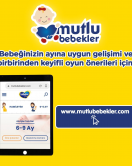 Bebelac Bebek Devam Sütü No1 250 Gr