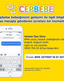 Bebelac Bebek Devam Sütü No1 250 Gr