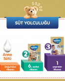 Bebelac Gold Bebek Devam Sütü No1 350 Gr