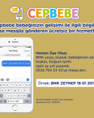 Bebelac Gold Bebek Devam Sütü No1 350 Gr