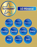Bebelac Gold Bebek Devam Sütü No3 350 Gr