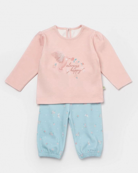 Bibaby Biorganic Always Happy 2'li Bebek Takım 59794 Gül Kurusu Mint