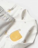 Bibaby Biorganic Penguin Club 5 Parça Hastane Çıkış Seti 62351 Ekru Gri