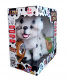 Can Dalmaçyalı Köpek