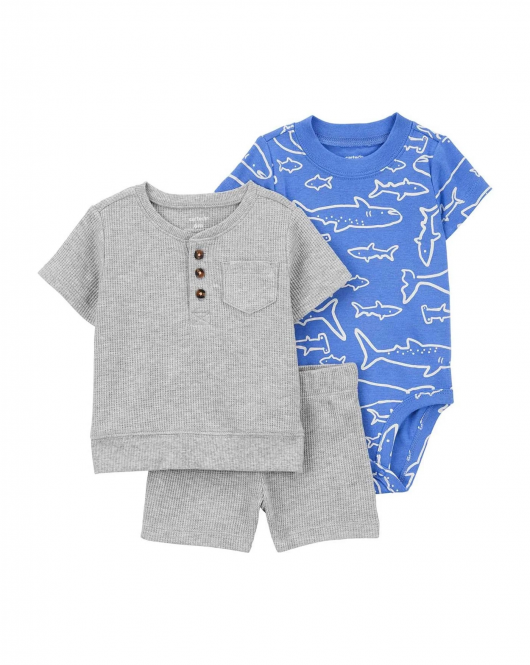 Carter's Erkek Bebek Alt Üst Set 1Q474810 Karışık Renkli
