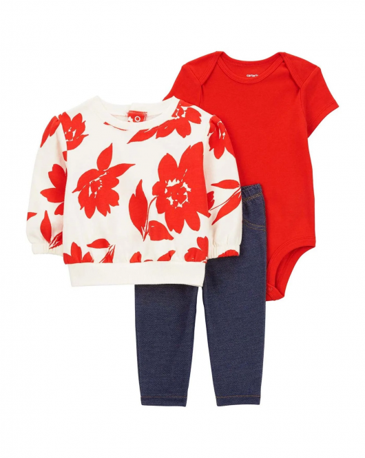 Carter's Kız Bebek 3'Lü Hırkalı Set 1Q466710 Karışık Renkli