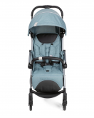 Chicco Goody Plus Bebek Arabası Dusty Green