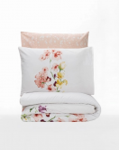 Cotton Box Ranforce Nevresim Takımı Tek Kişilik Emma Somon