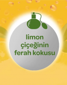 Dalin Sprey Bebek Kolonyası Limon Çiçeği 150 Ml