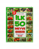 DiyToy İlk 50 Meyve Sebze Hafıza Kartları