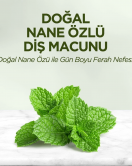 Eyüp Sabri Tuncer Doğal Diş Macunu 90 Gr Nane Özlü