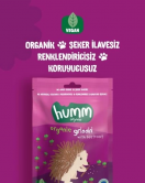 Humm Organik Vegan Pancarlı Grissini 55 Gr