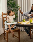 Ingenuity Baby Base Portatif Mama Sandalyesi Mist