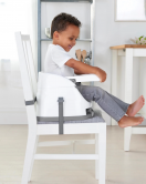 Ingenuity Baby Base Portatif Mama Sandalyesi Mist