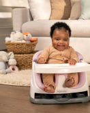 Ingenuity Baby Base Portatif Mama Sandalyesi Peony