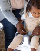 Ingenuity Baby Base Portatif Mama Sandalyesi Peony