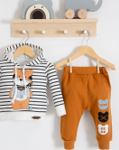 Look Bear 2'li Kapişonlu Erkek Bebek Takım