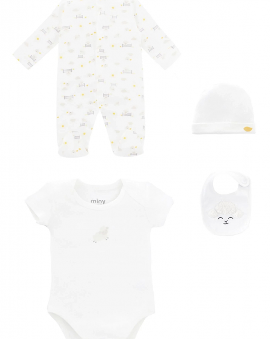 Minycenter Unisex Bebek 4'Lü Set 24U002 Karışık Renkli