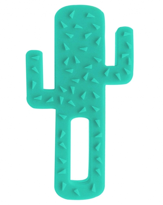 Oioi Diş Kaşıyıcı Kaktüs Aqua Green