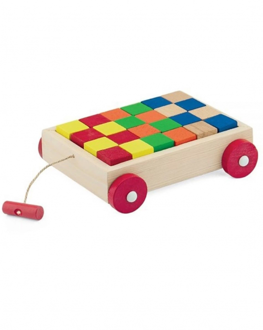 PlayWood Ahşap Renkli Küp Bloklu Araba 312