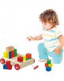 PlayWood Ahşap Renkli Küp Bloklu Araba 312