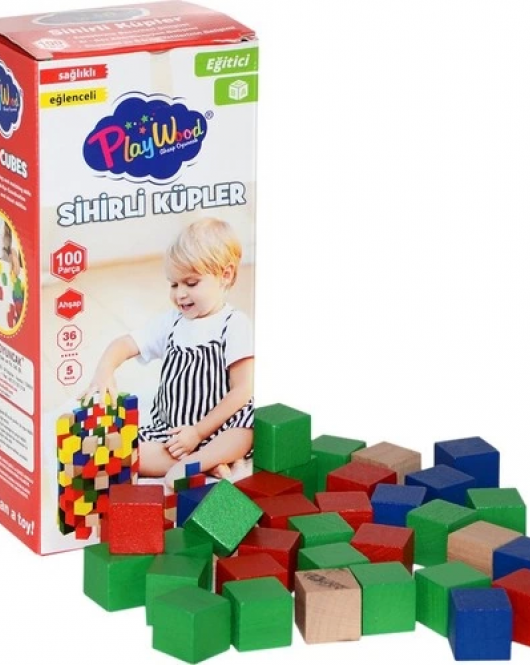 PlayWood Ahşap Sihirli Küpler 100 Parça 359