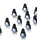 Ravensburger Çılgın Penguenler