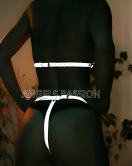Reflektörlü Sütyen Takım Harness - APFT385