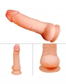 Ten Rengi 20 cm Dildo Model No:1065