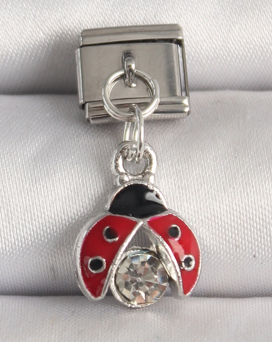 316L Çelik Gümüş Renk Zirkon Taşlı Uğur Böceği Model Nomination Charm